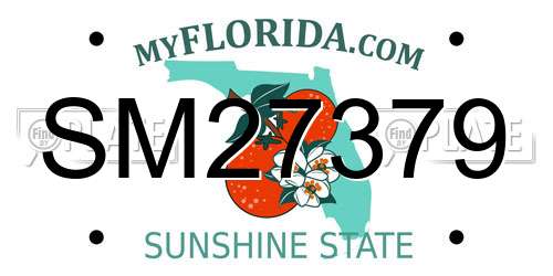 SM27379 Florida License Plate