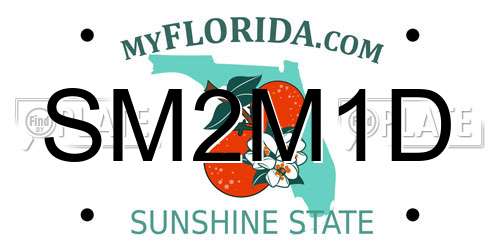 SM2M1D Florida License Plate