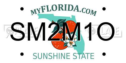 SM2M1O Florida License Plate