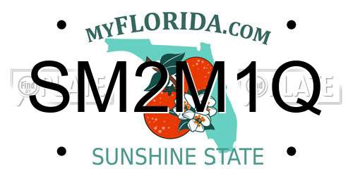 SM2M1Q Florida License Plate