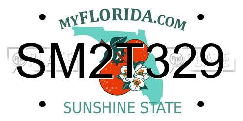 SM2T329 Florida License Plate
