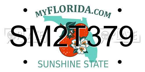 SM2T379 Florida License Plate