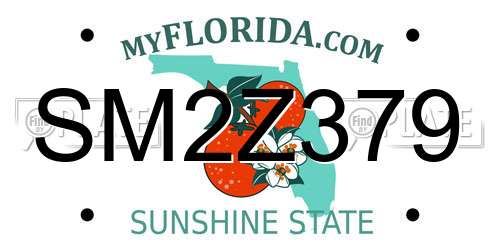SM2Z379 Florida License Plate
