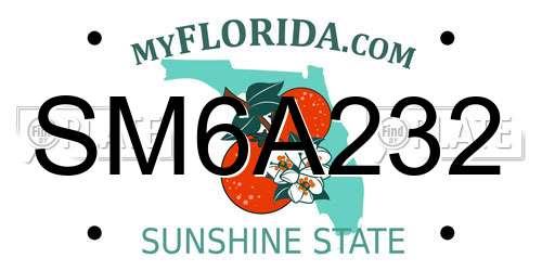 SM6A232 Florida License Plate