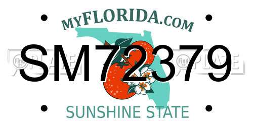 SM72379 Florida License Plate