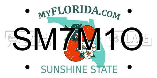 SM7M1O Florida License Plate