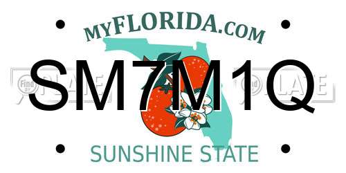 SM7M1Q Florida License Plate