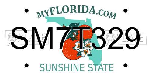 SM7T329 Florida License Plate