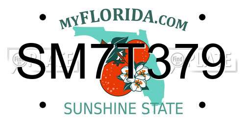 SM7T379 Florida License Plate