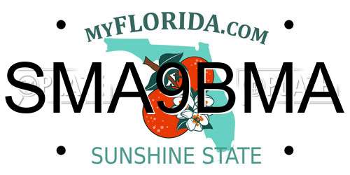 SMA9BMA Florida License Plate