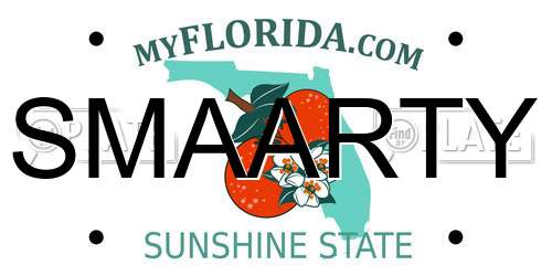SMAARTY Florida License Plate