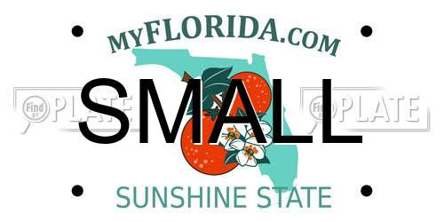 SMALL Florida License Plate