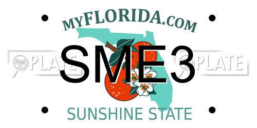 SME3 Florida License Plate
