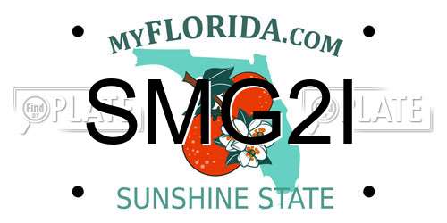 SMG2I Florida License Plate
