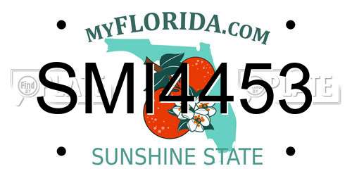 SMI4453 Florida License Plate