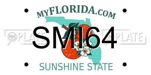 SMI64 Florida License Plate