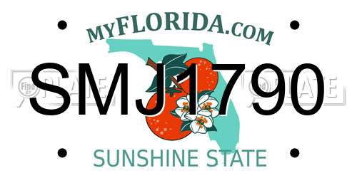 SMJ1790 Florida License Plate