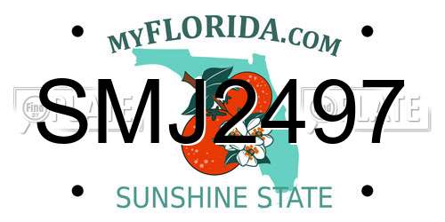 SMJ2497 Florida License Plate