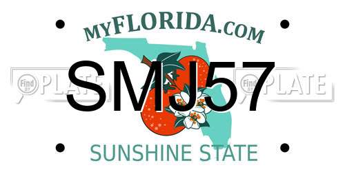 SMJ57 Florida License Plate