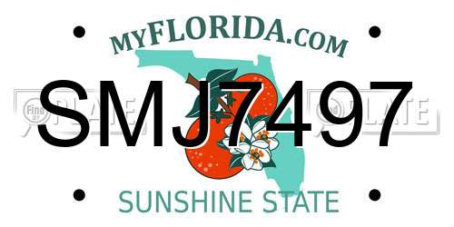 SMJ7497 Florida License Plate