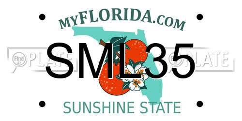 SML35 Florida License Plate