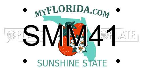 SMM41 Florida License Plate