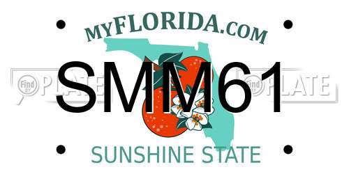SMM61 Florida License Plate