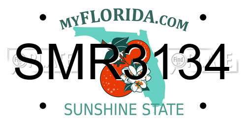SMR3134 Florida License Plate
