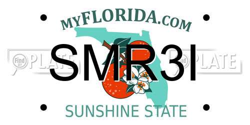 SMR3I Florida License Plate
