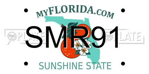 SMR91 Florida License Plate