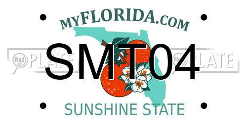 SMT04 Florida License Plate