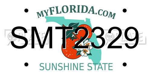 SMT2329 Florida License Plate