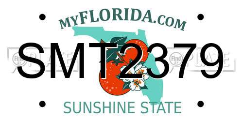 SMT2379 Florida License Plate