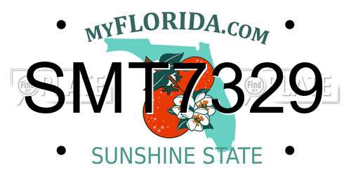 SMT7329 Florida License Plate