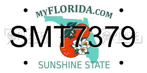 SMT7379 Florida License Plate