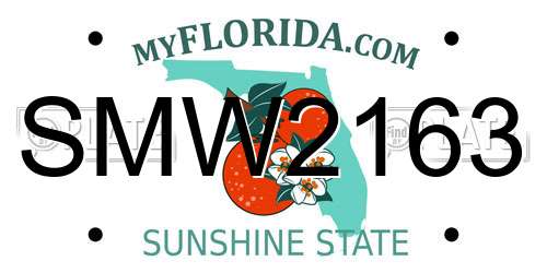 SMW2163 Florida License Plate