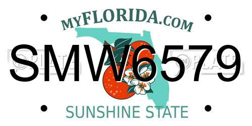 SMW6579 Florida License Plate