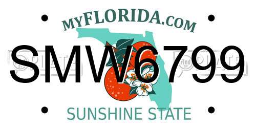 SMW6799 Florida License Plate