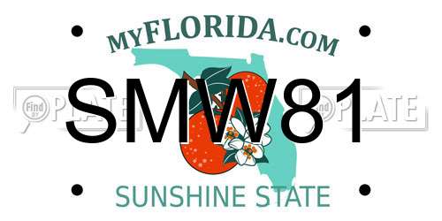 SMW81 Florida License Plate
