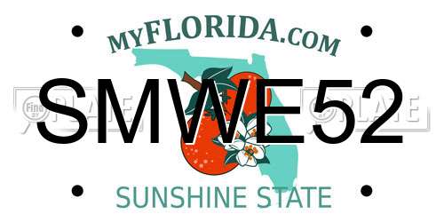 SMWE52 Florida License Plate