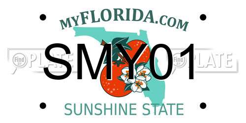 SMY01 Florida License Plate