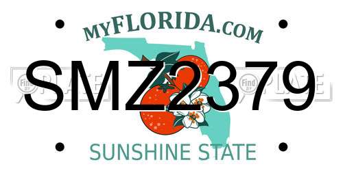 SMZ2379 Florida License Plate