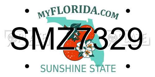 SMZ7329 Florida License Plate