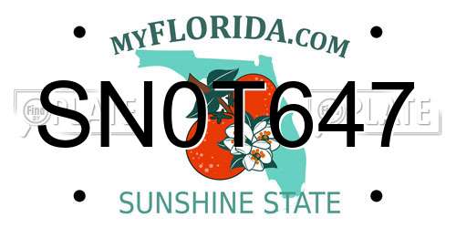 SN0T647 Florida License Plate