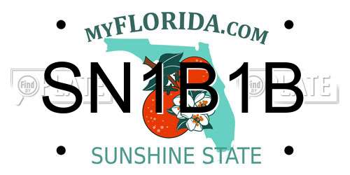 SN1B1B Florida License Plate