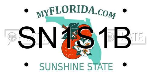 SN1S1B Florida License Plate