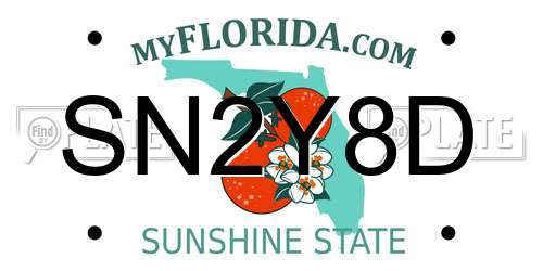 SN2Y8D Florida License Plate