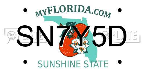 SN7Y5D Florida License Plate