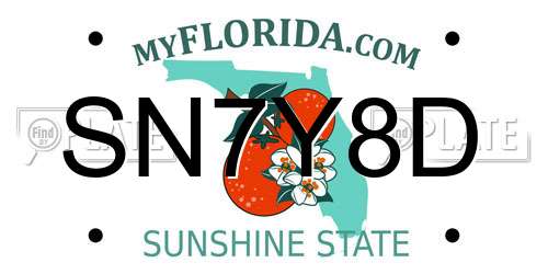 SN7Y8D Florida License Plate