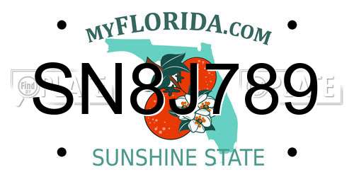 SN8J789 Florida License Plate